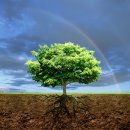 온나라부동산중개 이미지