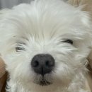 기다리다 이미지