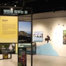 독도체험관 이미지