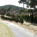 스위스장 이미지