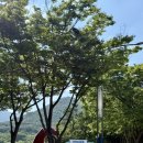 남동33 | [인천/남동] “인천대공원 물놀이장” 방문 후기