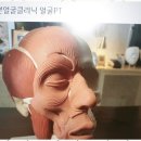 가연에스테틱 | 속초문제성피부관리 건강한 피부의 비밀, 가연에스테틱 첫 방문후기