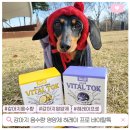 퍼피 투게더 | 강아지 음수량 체크 신장 영양제 허레이 프로 바이탈톡