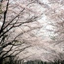 어경선정신건강의학과 Daum카페