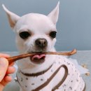 메이동동 이미지