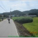 대마1리 이미지