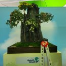 (주)캘리스코논공(대구) 휴게소 | 대구 방방곡곡 트레킹 34차 답사하다- /익산 천만 송이 국화축제, 미륵사지, 왕궁리 유적, 나바위성당...