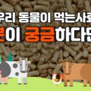 우수사료 이미지