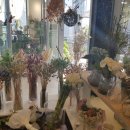 (주)김덕규과자점 이미지