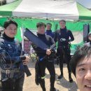 솔트펀