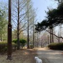 승기천 신연수역 이미지