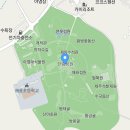 현재 한림공원에서 수선화 축제 하고 있어요 이미지