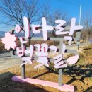 인다락벚꽃길 이미지