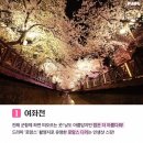 여의서로1길 | [축제] 🌸봄봄봄 봄이 왔네요🌸 2019 벚꽃 축제 총정리