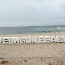 연곡해변 솔향기캠핑장 이미지