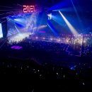 놀자 콘서트 이미지