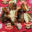 천상 농장 이미지