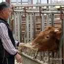 흥원농장 이미지