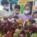 광주도평초등학교 병설유치원 이미지