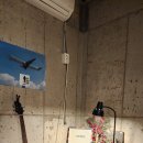 4347 | 뚜벅이 김군빌리지 제주공항근처게스트하우스 및 후기