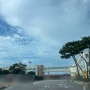 충청북도 보은군 보은읍 보은로 147 이미지