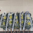 고령꽃집 이미지