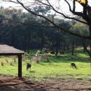 오름공원놀이터 이미지