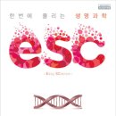번