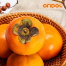 건양유통 이미지