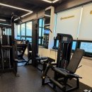 락 바디짐 | 염창역 PT 가성비와 실력 다 잡은 락바디짐 솔직 후기