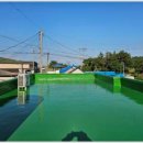 칠칠공사 이미지