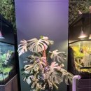 어반네이처 이미지