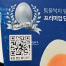 조인 행복 가득담은 동물복지 새하얀 유정 반숙란 이용한 단백질보충~♡