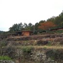 쌍둥이네흙집 이미지