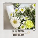 일상의 하루 | 꽃정기구독으로 만나는 일상의 소확행, 플립플라워 후기