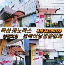 국민렉산