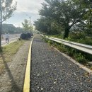 강남로(정상동) 이미지