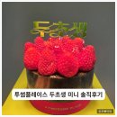 투썸플레이스시흥대야점 | [내돈내산] 투썸플레이스 두초생 미니케이크 솔직 후기 | 재구매는 글쎄...