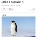 교촌치킨세화점