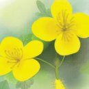 교감막국수 이미지