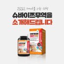 슈바이쯔 네이버블로그