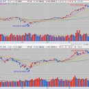 (주)오로라코퍼레이션 이미지