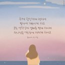 카페;찬란