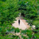 쉼,-IN SEOUL 이미지