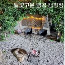 아이와 2박3일 캠핑 달빛고운 병곡 캠핑장 후기