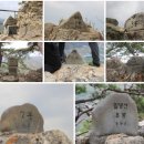 아침식사 대용으로 김밥과 생수 준비합니다. 이미지