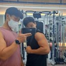 오가닉피티 이미지