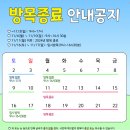 풍전목장 | [평창 여행 필수 코스] 대관령 양떼목장, 해발 920m에서 만나는 힐링 여행
