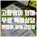 여울종합상담센터 | 아이에게 소리지른 후 죄책감에 울고 있다면? 육아종합지원센터 무료상담(STS기질검사) 후기