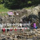 금산마트 | 대전근교계곡 취사 가능한 금산 청강수반딧불이민박 평상 이용 후기